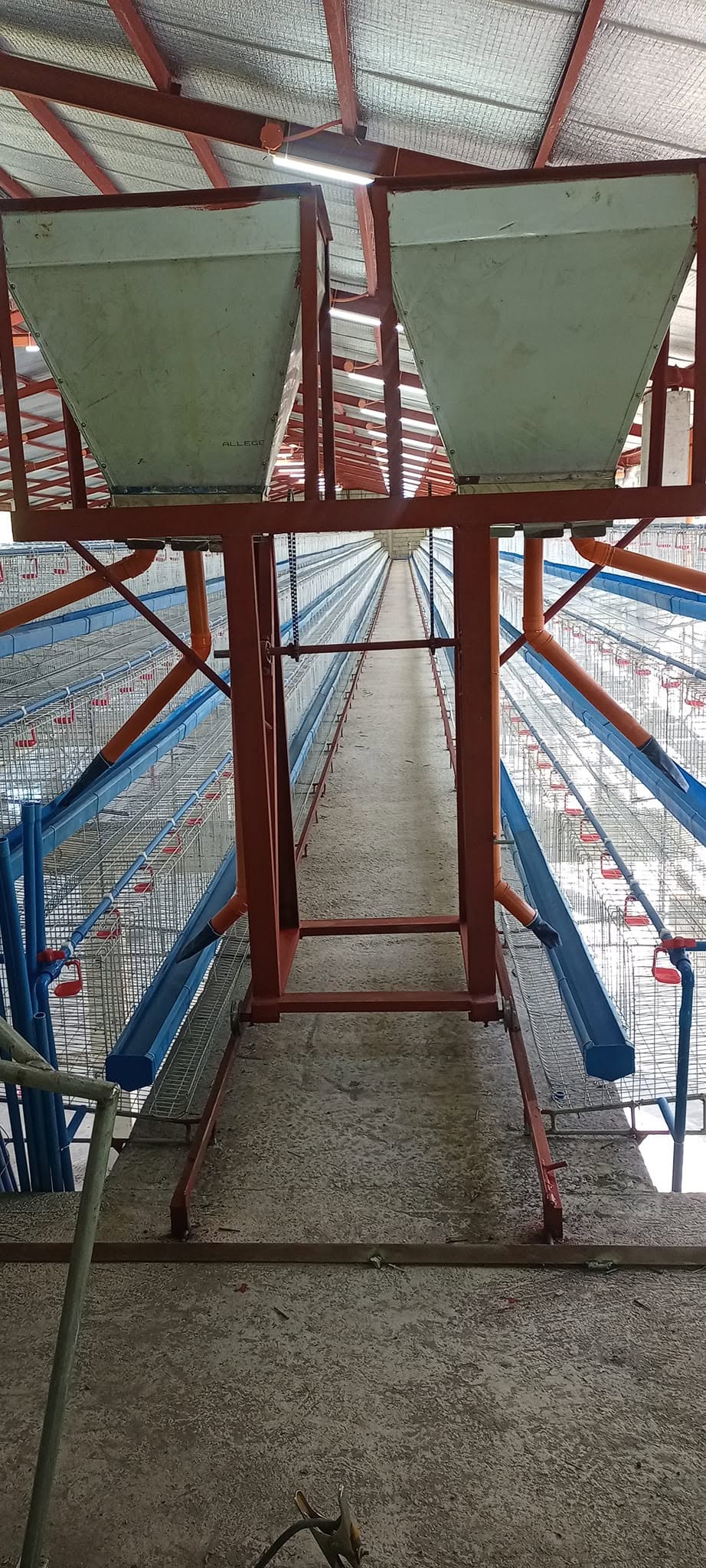 Automatic Feeder Fabrication