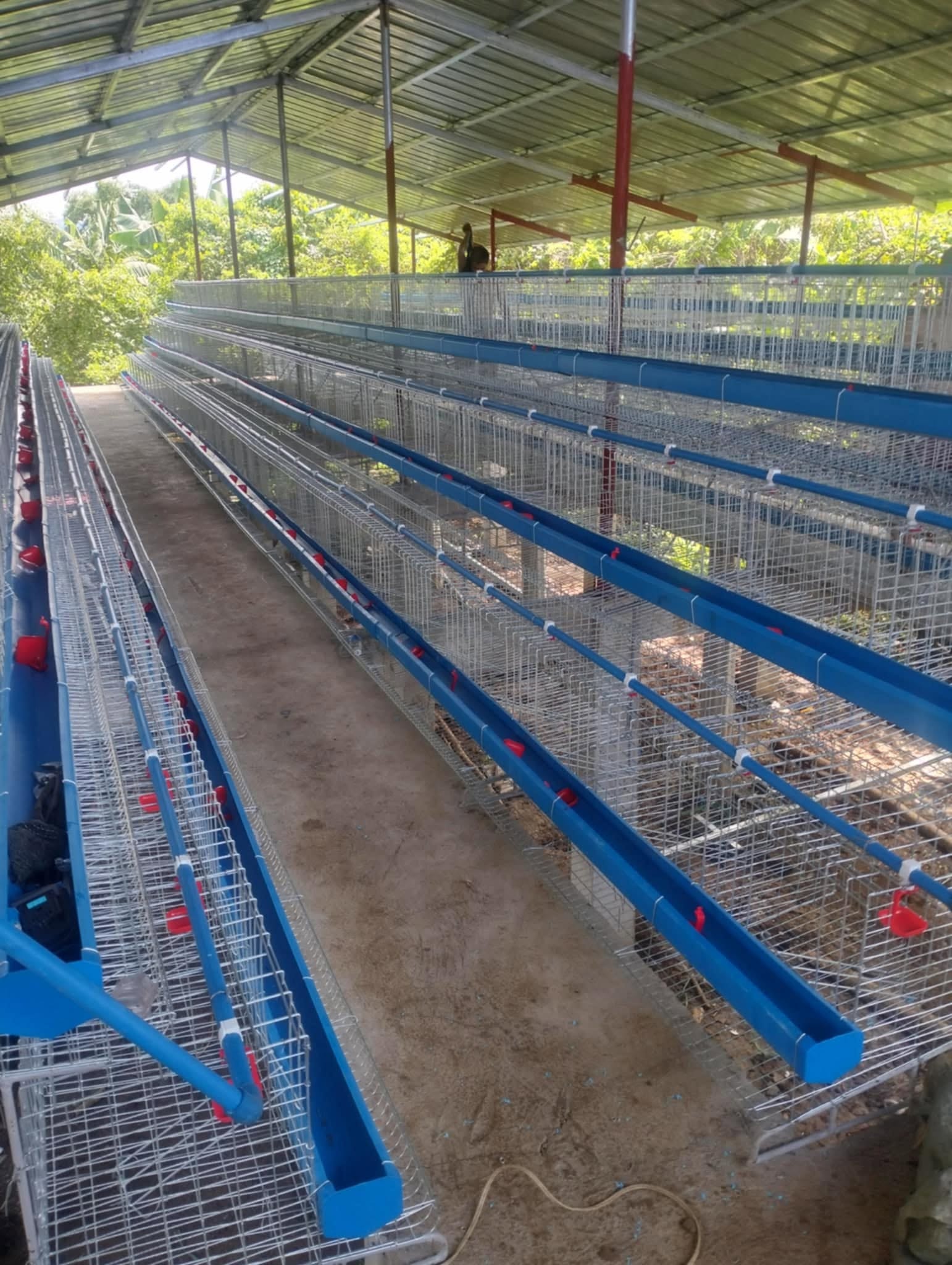 Hot Dipped Layer Cage Project