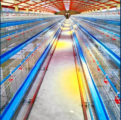 Hot Dipped Layer Cage